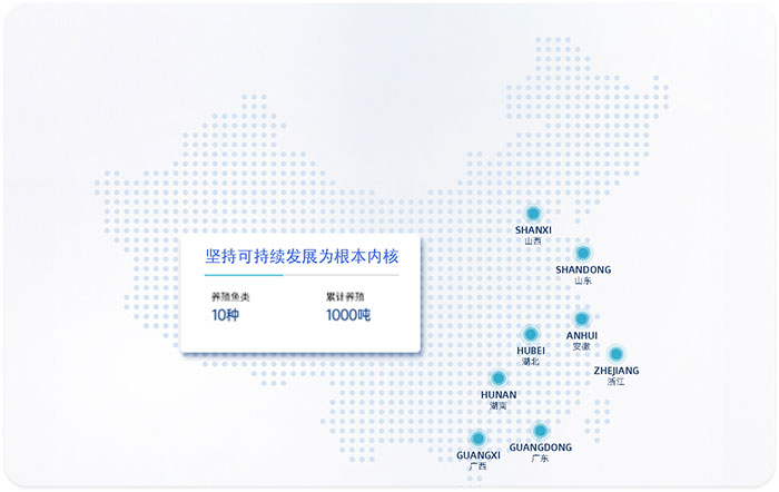 时间线